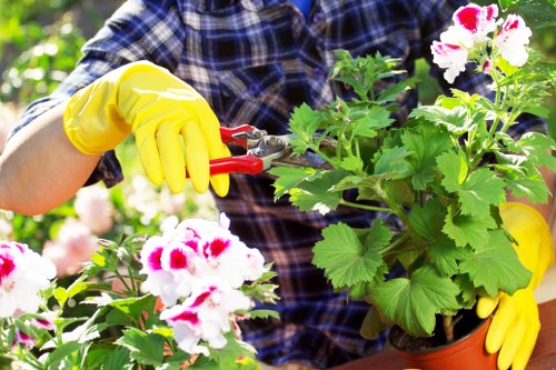 Gardener trimming plants in a Covent Garden courtyard