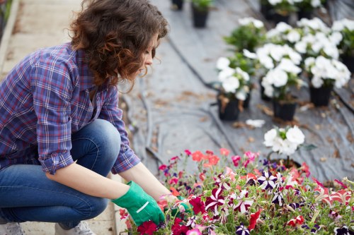 Professional garden clearance service in Covent Garden