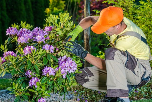 Worker pruning raised beds suitable for wheelchair access