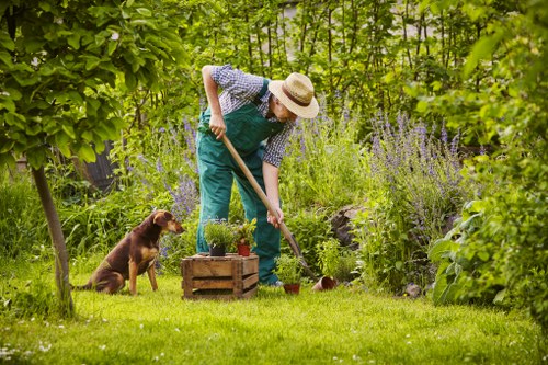 Electric van and e-bike used for garden services