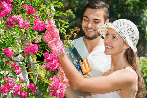 Experienced arborists at work