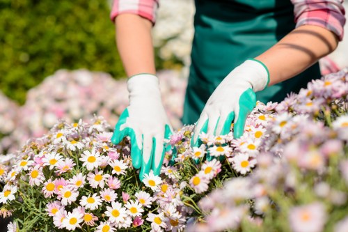 Skilled gardener pruning plants in a Covent Garden garden