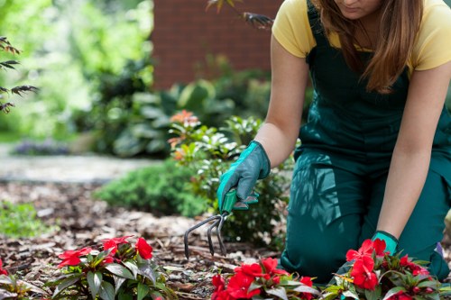 Choosing the right garden clearance service