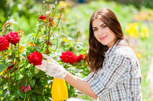 Seasonal lawn care activities