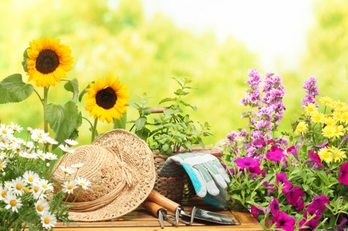 Practical landscaping considerations for Covent Garden