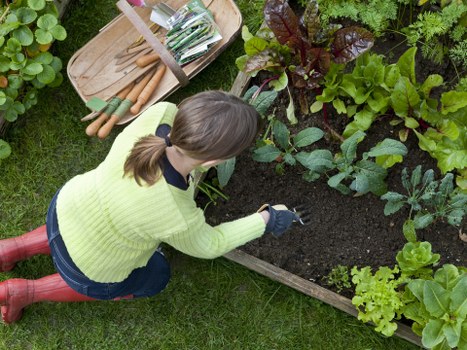 Plant selection and arrangement in Covent Garden landscaping