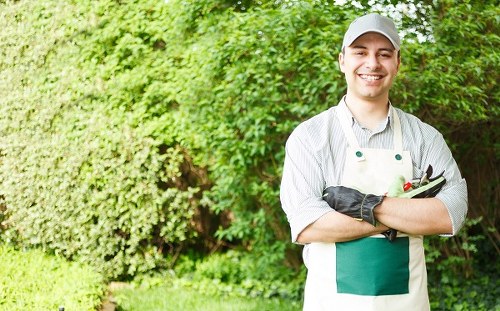 Healthy soil preparation for a thriving garden